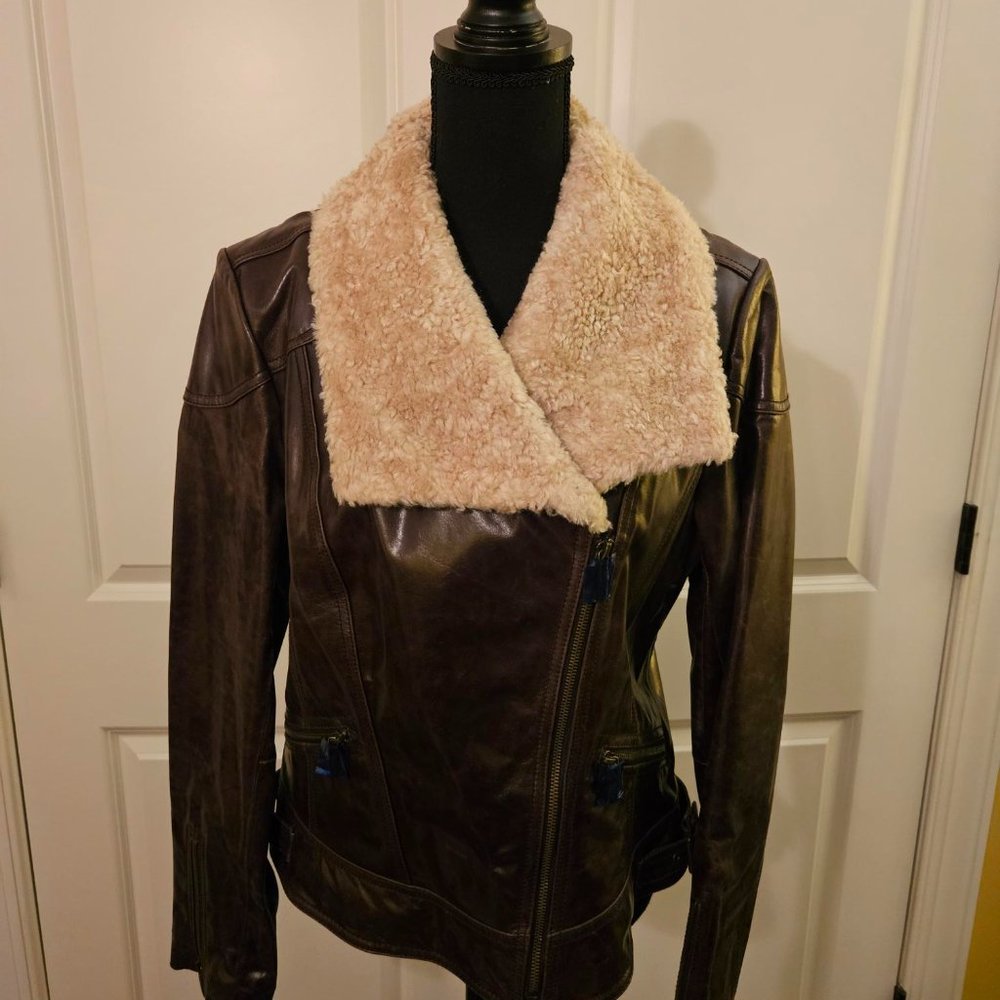 Gorgeous Chocolate Brown Bomber Jacket by Laundry - Picture 2 of 9